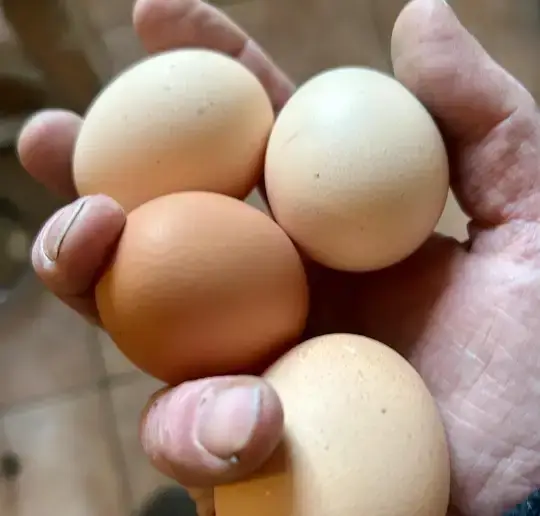 about hover image sustain